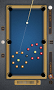 Pool Master Pro - Imagen 3