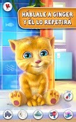 Imagen Talking Ginger 2.2