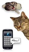 Imagen Traductor Humano-Gato (Human-to-cat Translator) 1.0.0