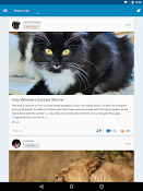 Imagen WordPress 2.7.1