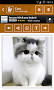WhatsApp Cats - Imagen 2