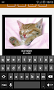 WhatsApp Cats - Imagen 5