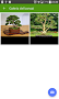 Bonsai Collection Gratis - Imagen 5