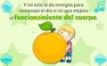 La Alimentación - Imagen 5