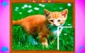Puzzles de Animales - Imagen 7