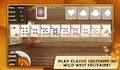 9 Fun Card Games - Solitaire - Imagen 5