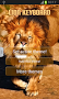 Lion Keyboard - Imagen 3
