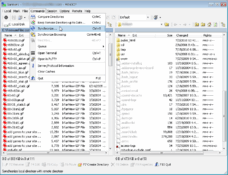 Image WinSCP 5.19.4