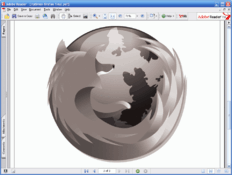 Image Adobe Reader DC 2021.007.20099