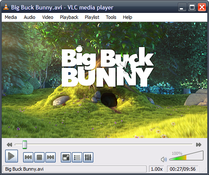 Image VLC media player Portable 2.0.8