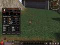 Metin2 - Image 2