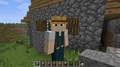Minecraft - Imagen 5