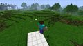 Minecraft - Imagen 6