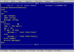 SCARICARE TURBO PASCAL DA