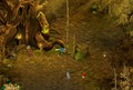 Dofus - Image 1