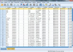 spss estadistico ibm waimg