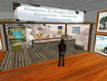 Second Life - Image 10
