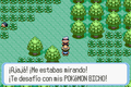 VisualBoyAdvance - Imagen 2