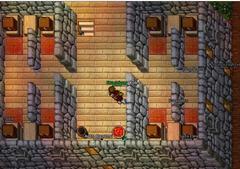 Imagen Tibia 11