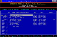 Image DOSBox 0.74-3