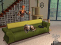 Los Sims 2: Mascotas - Image 5