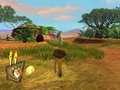 Madagascar 2 - Image 5