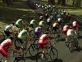 Pro Cycling Manager - Image 1