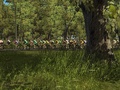 Pro Cycling Manager - Image 6