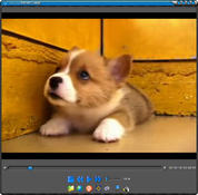 Image FLVPlayer4Free 7.8.0.0