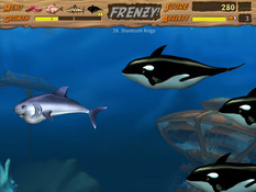 Imagen Feeding Frenzy 2