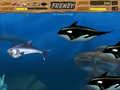 Feeding Frenzy - Imagen 1