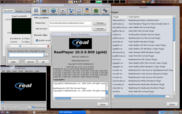RealPlayer para Linux Download