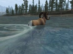 Imagen Trophy Hunter 2003