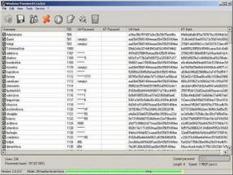 Image Windows Password Cracker 3.1.0.0
