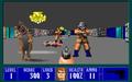 Wolfenstein 3D - Image 3