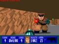 Wolfenstein 3D - Image 4
