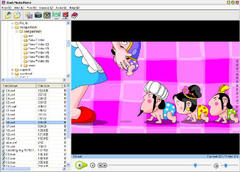 Imagen Flash Media Player 3.9