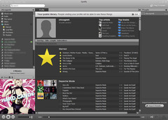 Imagen Spotify 1.1.74.631
