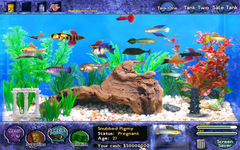 Imagen Fish Tycoon 2.0.1