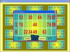 Imagen Bingo Automático 1.0