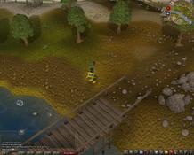 Imagen RuneScape 3.0