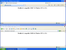 Image IE7 Standalone 