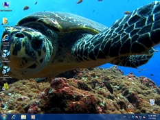 Imagen Dreamscene Video Wallpaper 2.47