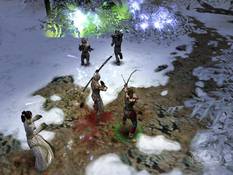 Imagen Dungeon Siege Multiplayer