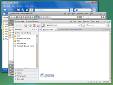 Imagen TheWorld Browser para Windows 98 2.4Final_2.4.1.5