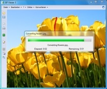Imagen GIF Viewer 3.2