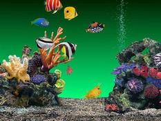 Imagen AquaReal 1.3.2