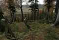 ArmA 2 Free - Imagen 6