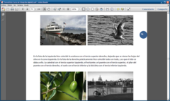 Imagen Curso de Fotografía Digital 1.1