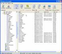 navicat 8 lite for mysql navicat 8 lite for mysql